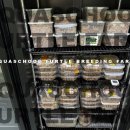 브리딩 팜 이미지