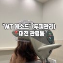 1384 | 대전 탈모예방 두피 스파 유성두피클리닉 후기 : WT메소드 유성 대덕점