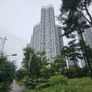 다솔초교 이미지