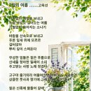 7월의 여름 ........고옥선 이미지