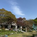 네츄럴가든529