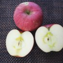 학송농장 이미지