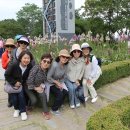 곡성-116 이미지