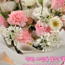 STAY. 보성 이미지