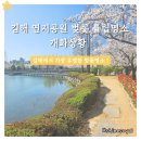 연지어린이집 | 김해 벚꽃명소 연지공원 튤립까지