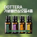 도테라 기분 밸런싱 오일 4가지 – 감정을 조절하고, 긍정적인 에너지를 채우는 필수 오일