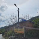 어성전야영장 | [강원도/양양캠핑장] 어성전계곡 양양계곡캠핑장 우중캠핑 후기(폴라리스 타프쉘 이너텐트 솔직 후기)