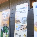 카페오리아 | 양평놀거리 추천 자연 속 힐링 공간 산요수 체험 후기