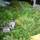 새벽아침농장 이미지