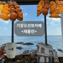 도리순이 | [기장 카페 추천] "채플린" 전 좌석 오션뷰에 반한 베이커리 맛집 후기