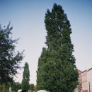 이화정파크 이미지