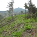 암산마을 이미지