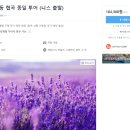 유어크루PC | 유럽 프랑스 남부 9박 11일 여행 뚜벅이 남프랑스 투어 추천-니스, 베르동 협곡, 발렁솔, 무스띠에 생뜨...