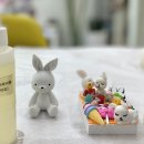 모뜨랑스 이미지