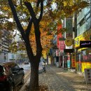 느티마을 이미지