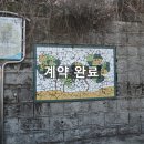 중앙동132 이미지