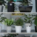 초록원푸드 이미지