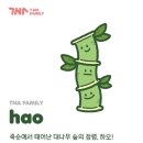 티나몰 - 강서구 | 티나몰