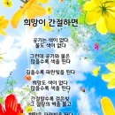 오늘의 날씨 (1월 8일 수요일) 710기 입영 3일차 이미지