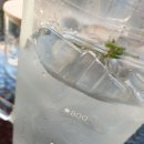 저그머그 이미지