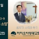 2026년 4월 12일 주일예배 설교내용 – 생생하게 살게 하는 소망 이미지