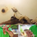 소돌슈퍼 | 강원도 강릉 가볼만한곳 1박2일 강릉 놀거리 볼거리