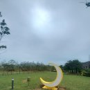 도도리파크(실외) 이미지