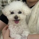 92버터샵