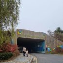 돌아와요홍원항에 | [충남/서천](지난 일정) 국립생태원 주차/ 금강하굿둑 놀이공원/ 오성 펜션/ 홍원항 구경