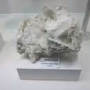 전자통신연구원 이미지