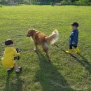 운정건강공원 이미지