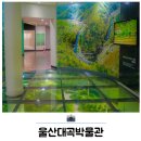 울산대곡박물관 | 울산 울주 실내 아이와 가볼만한곳 대곡박물관 후기