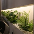 바벨짐 2호점 이미지