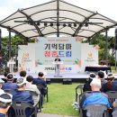 청춘담아 이미지