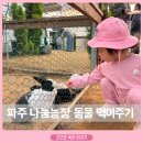 아이랑 실내 가볼만한곳 파주 나눔농장 동물 먹이주기 근처 맛집