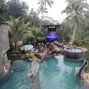 발리노래클럽 이미지