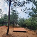 산림욕장 이미지