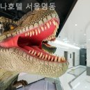헨나호텔 서울명동 이미지