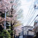 앤유(nu) PC방 이미지