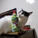 우리 덴탈랩 이미지