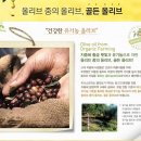 [이니스프리] 올리브 리얼 파워 크림, 골든올리브의 환상적인 보습력! 이미지