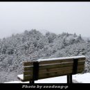 영월군청화장실 이미지