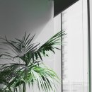 샾 플러스 이미지