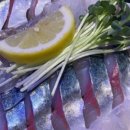 사계절 바다 맛집 이미지