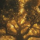 세종한의원 이미지