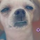 복 이미지