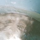 영암도포중학교 이미지