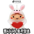 캔들나라 이미지