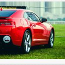 로얄카센타 이미지