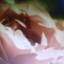 로이 힐링 이미지